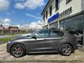 Alfa Romeo Stelvio Stelvio 2.0 t Ti Q4 280cv TETTO APRIBILE Grigio - thumbnail 3