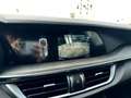 Alfa Romeo Stelvio Stelvio 2.0 t Ti Q4 280cv TETTO APRIBILE Grigio - thumbnail 13