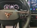 CUPRA Formentor 2.0 TDI 150 CV 4Drive DSG Adap. Cruise Navi 18” Blu/Azzurro - thumbnail 19