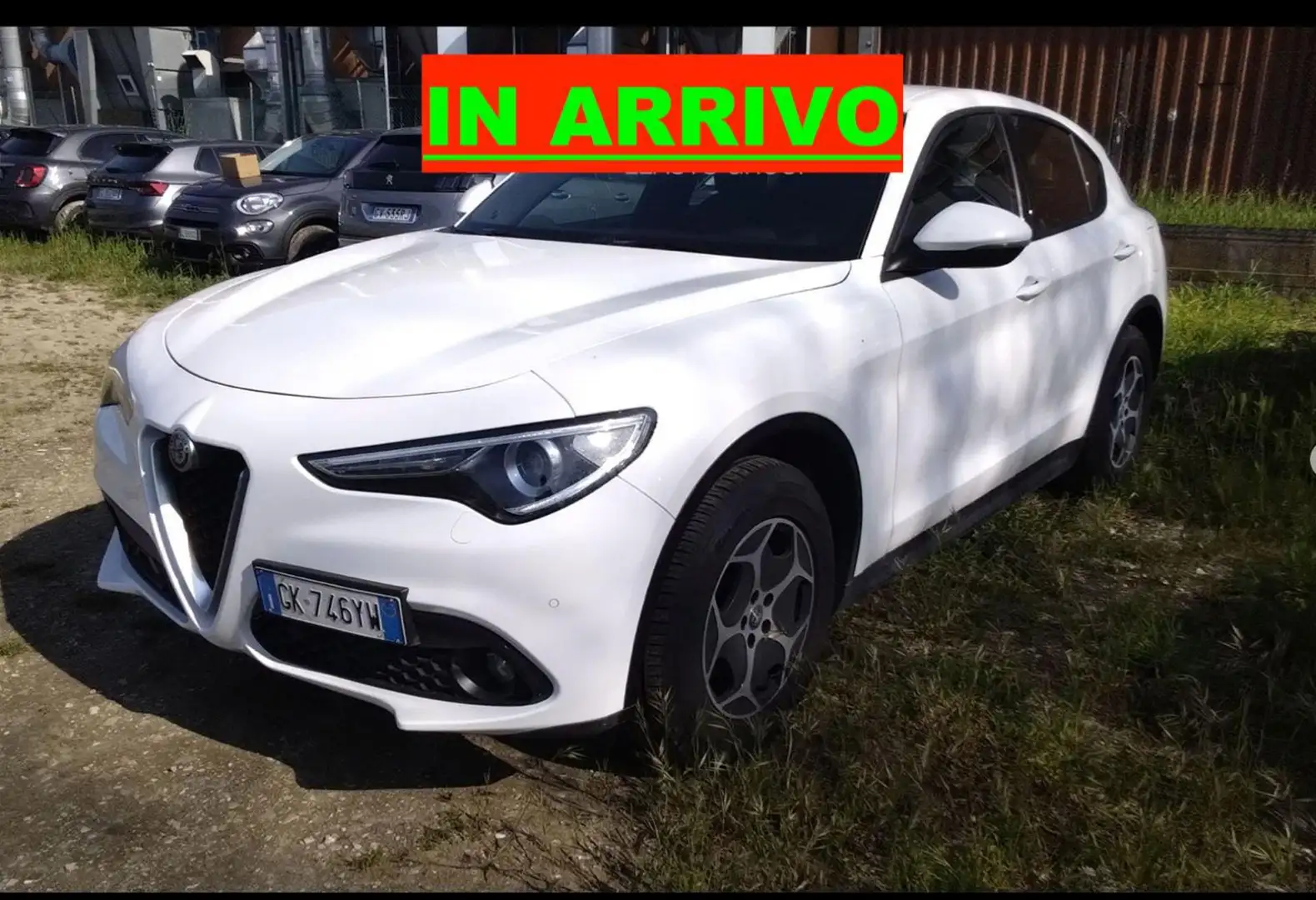 Alfa Romeo Stelvio 2.2 Turbodiesel 190 CV AT8 Q4 Business Bianco - 1