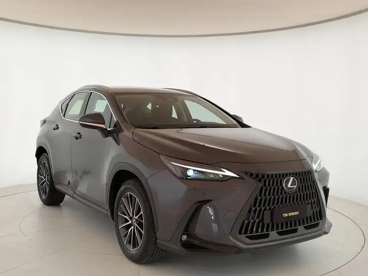 Lexus NX 200t 350h 2.5 Business e-cvt - IVA ESPOSTA — foto 3