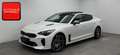Kia Stinger 3.3 T-GDI AWD GT PANO+H&K+HUD+SITZKLIMA+ Weiß - thumbnail 1