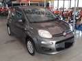 Fiat Panda Panda III 2016 1.2 Easy s Grigio - thumbnail 2
