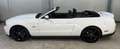 Ford Mustang GT V8 Cabrio, R-Kamera, wenig KM - thumbnail 4