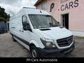 Mercedes-Benz Sprinter 316 KA HOCH EXTRALANG XL*SORTIMO*REGALE Blanc - thumbnail 1