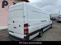 Mercedes-Benz Sprinter 316 KA HOCH EXTRALANG XL*SORTIMO*REGALE Blanc - thumbnail 20