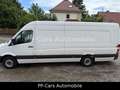 Mercedes-Benz Sprinter 316 KA HOCH EXTRALANG XL*SORTIMO*REGALE Blanc - thumbnail 4