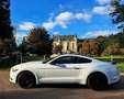 Ford Mustang Mustang 2.3 EcoBoost Wit - thumbnail 5