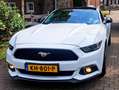 Ford Mustang Mustang 2.3 EcoBoost Wit - thumbnail 7