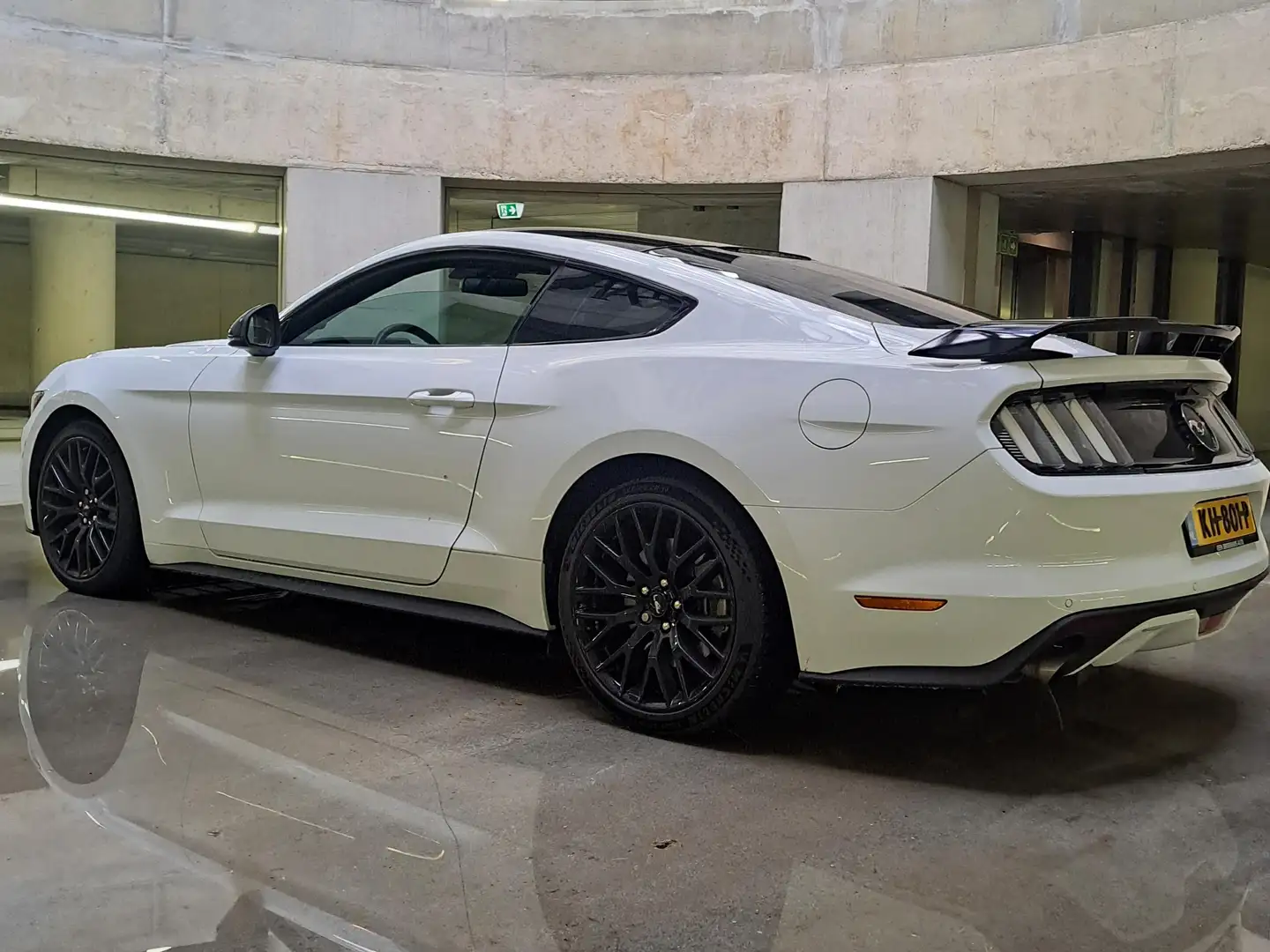 Ford Mustang Mustang 2.3 EcoBoost Wit - 2