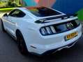 Ford Mustang Mustang 2.3 EcoBoost Wit - thumbnail 6