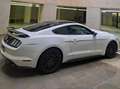 Ford Mustang Mustang 2.3 EcoBoost Wit - thumbnail 3