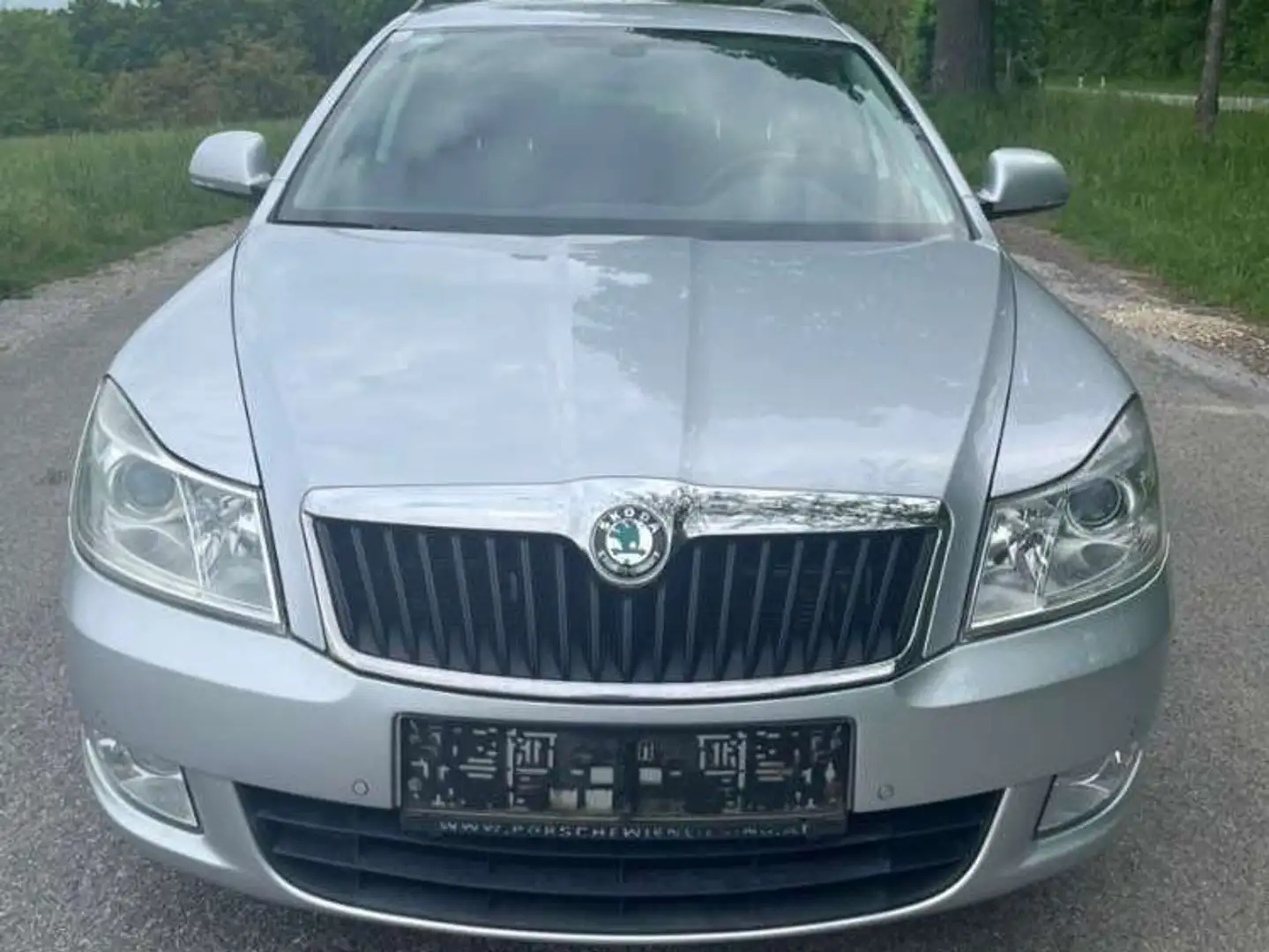 Skoda Octavia Octavia Combi 1,6 Greenline TDI DPF Greenline Silber - 2