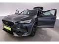 CUPRA Formentor 1.5 TSI Aut. +LED+NAVI+PANO Grau - thumbnail 24