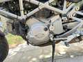 Ducati Monster 620 Naked Black + gekeurd 10/07/25 Noir - thumbnail 5