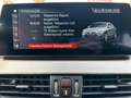 BMW X2 xDrive 18d M Sport HuD Cam LED Shadow Weiß - thumbnail 36