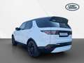 Land Rover Discovery D250  AWD DYNAMIC SE Automatik Weiß - thumbnail 8