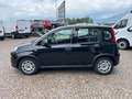Fiat Panda 1.0 FireFly S&S Hybrid City Life Nero - thumbnail 3