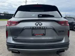Infiniti QX50 2025