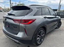 Infiniti QX50 2025