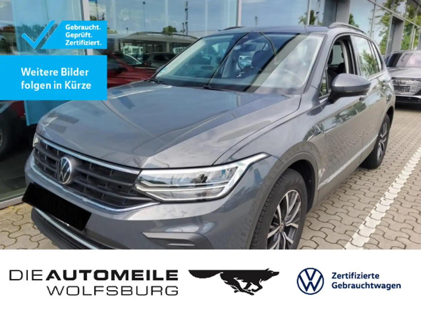 Volkswagen Tiguan 2.0 TDI DSG Life AHK(Rückkam/Multilenk Gris - 1