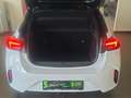 Opel Corsa-e GS Line *NAVI*Sitzheizung*Rückfahrkamera* Bianco - thumbnail 11
