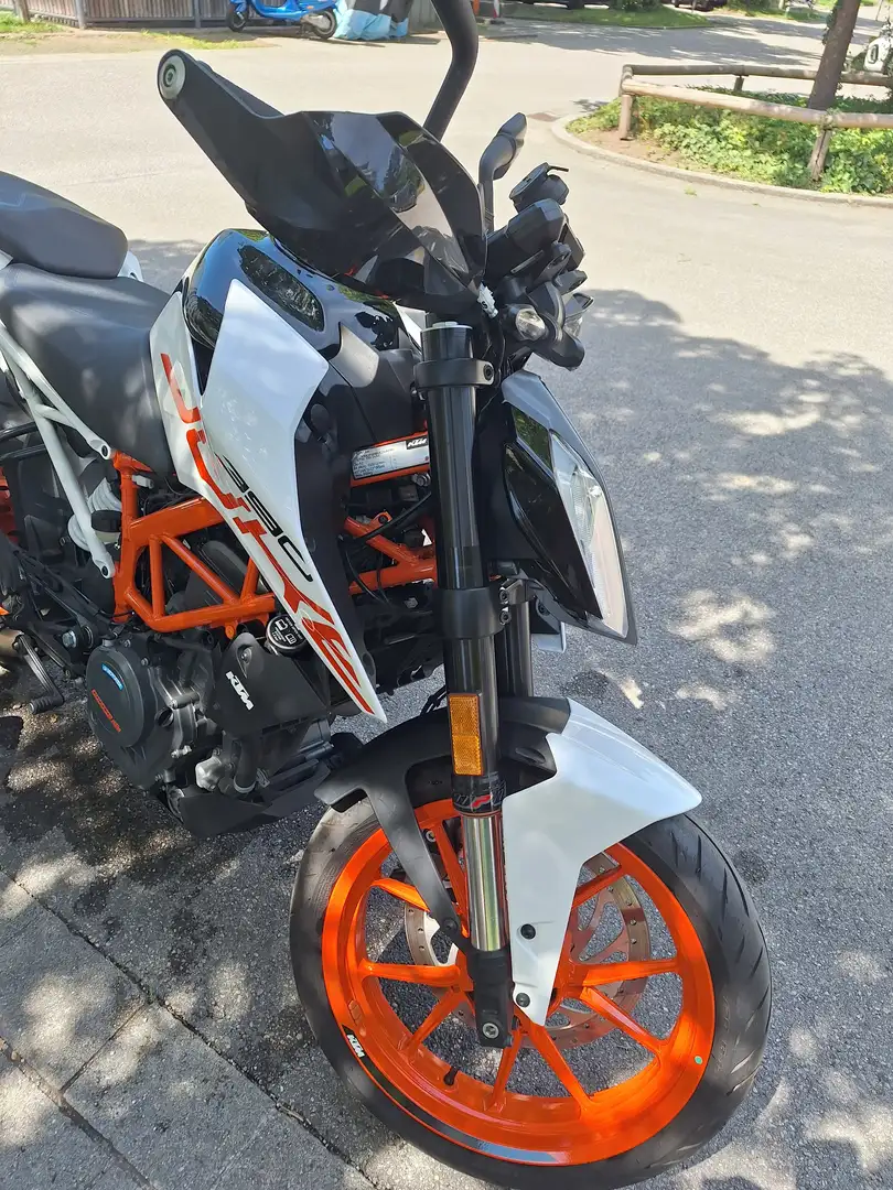 KTM 390 Duke weiß Modell 2018 Alb - 2