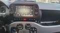 Fiat Panda Panda 1.0 firefly hybrid City Cross PREZZO REALE Blu/Azzurro - thumbnail 10