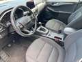 Ford Kuga 1,5 EcoBlue Titanium Weiß - thumbnail 9