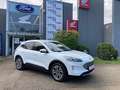 Ford Kuga 1,5 EcoBlue Titanium Weiß - thumbnail 1