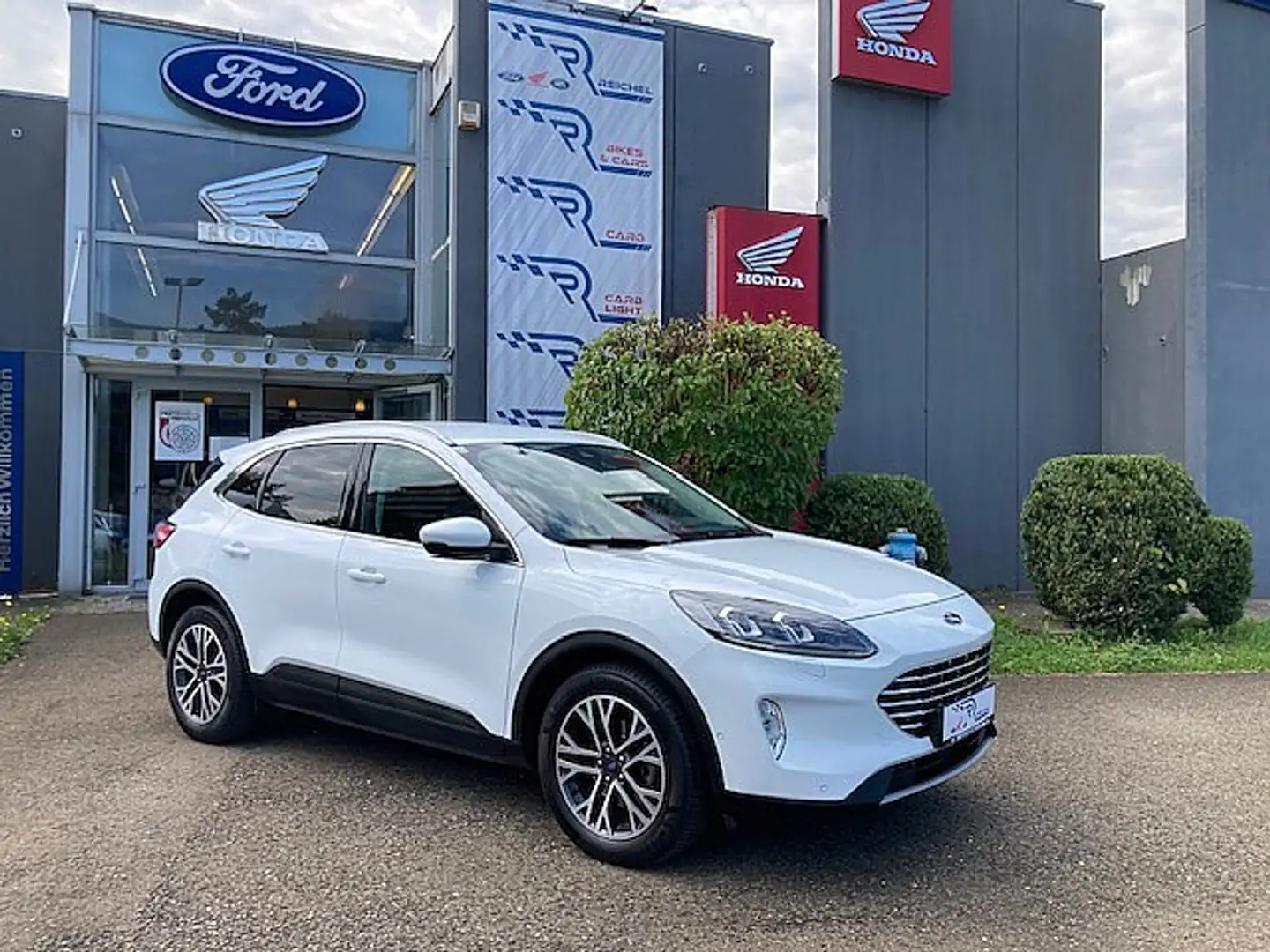 Ford Kuga 1,5 EcoBlue Titanium Weiß - 1