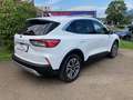Ford Kuga 1,5 EcoBlue Titanium Weiß - thumbnail 4