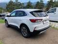Ford Kuga 1,5 EcoBlue Titanium Weiß - thumbnail 3