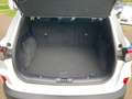 Ford Kuga 1,5 EcoBlue Titanium Weiß - thumbnail 5