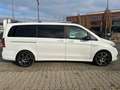 Mercedes-Benz V 250 V250 d EXCLUSIVE  EDITION Avantgarde AMG Burmest Blanco - thumbnail 4