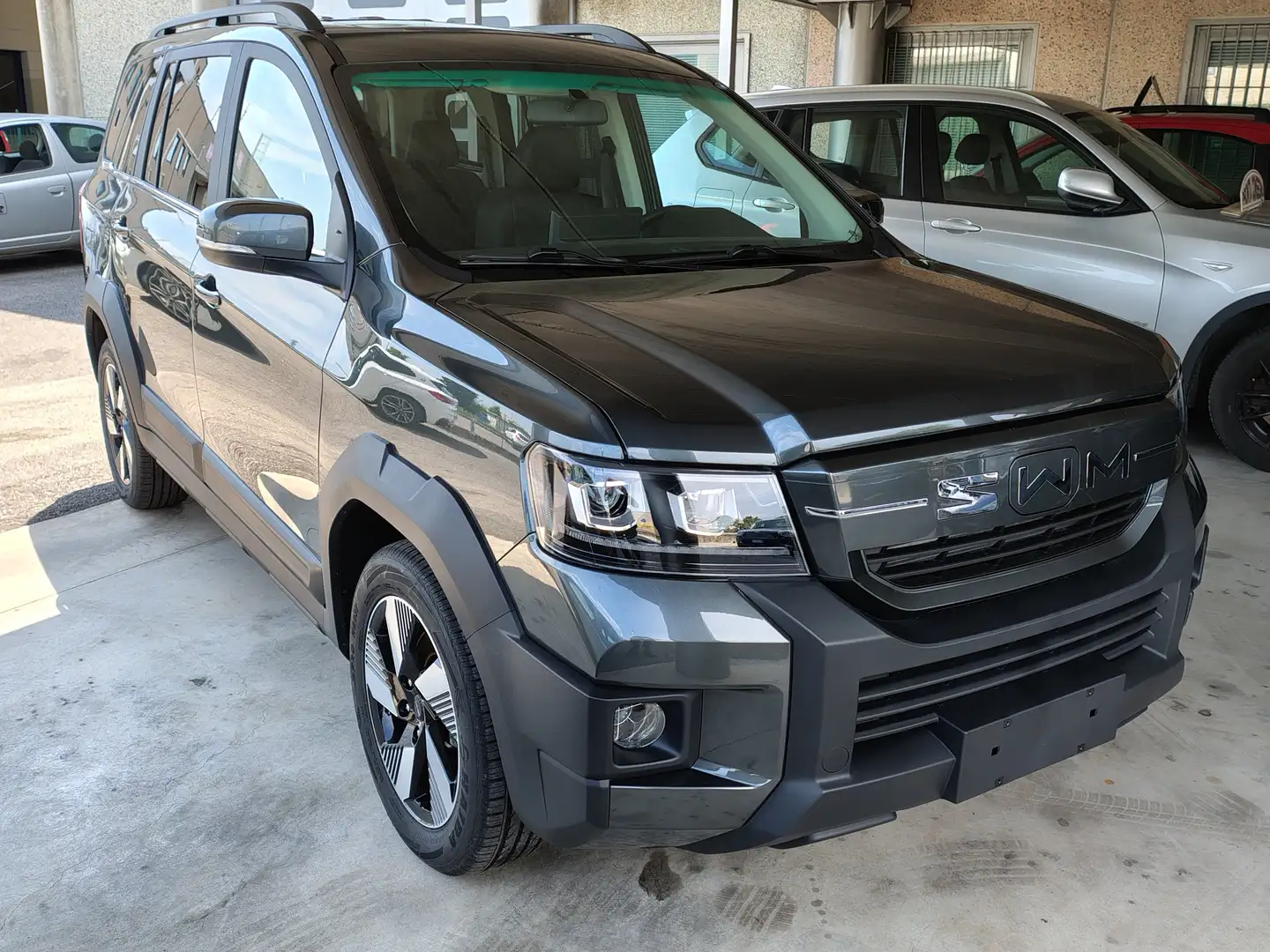 SWM G03F 1.5 110cv mt Grigio - 1