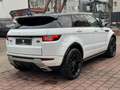 Land Rover Range Rover Evoque SE Dynamic 2.0 PANO/PDC/360°/TEMPOMAT/LEDER Weiß - thumbnail 3