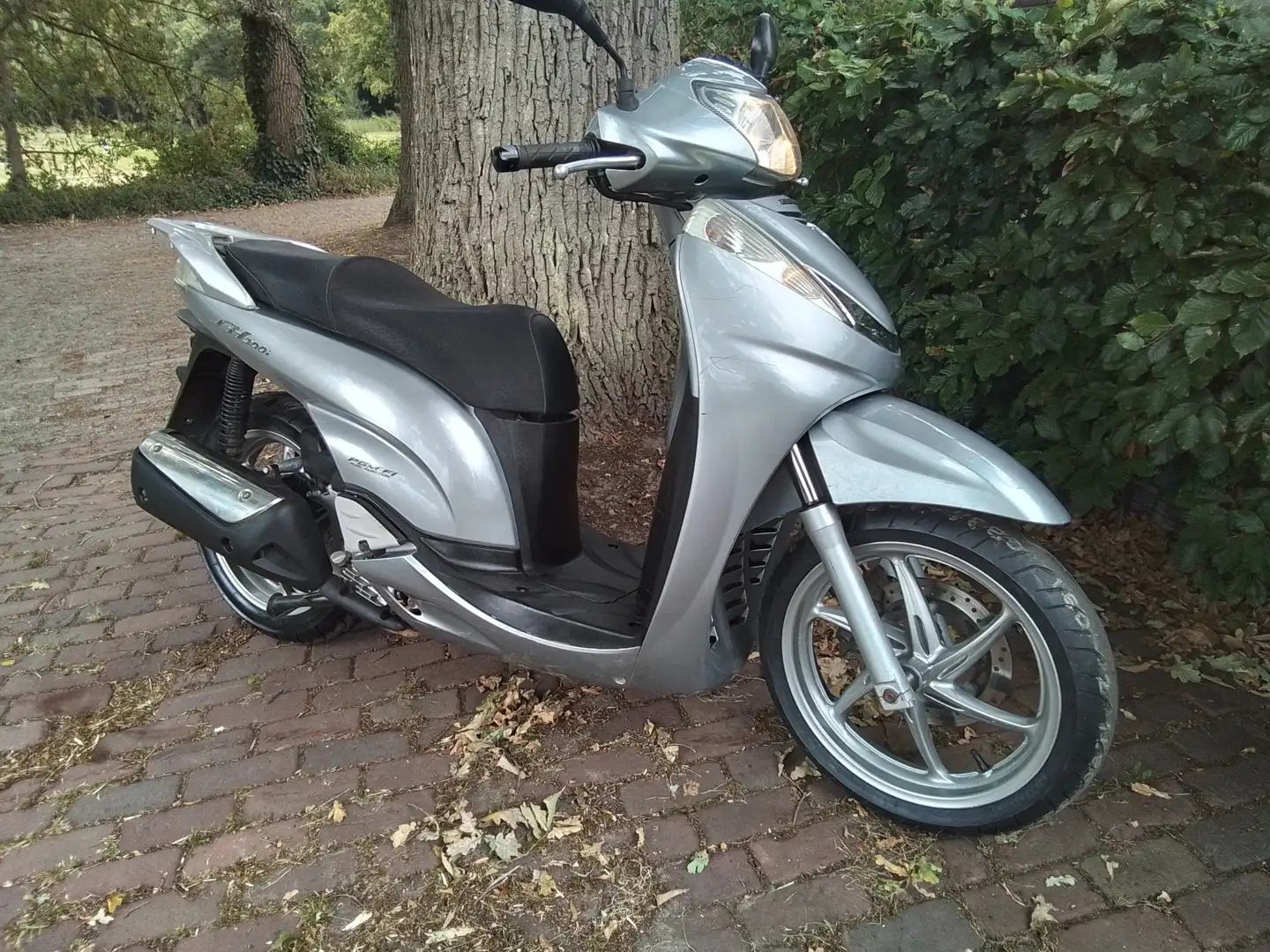 Honda SH 300 sh300 abs Grijs - 1