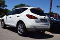 Nissan Murano 2.5 DCI 198CH ALL-MODE 4X4 BVA Biały - thumbnail 13
