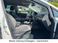 Volkswagen Golf VII Lim. Highline*R-Line*Navi*LED*Xenon*Alc Weiß - thumbnail 17
