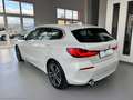 BMW 116 BMW 116d SPORT LINE Bianco - thumbnail 10