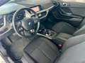 BMW 116 BMW 116d SPORT LINE Bianco - thumbnail 15