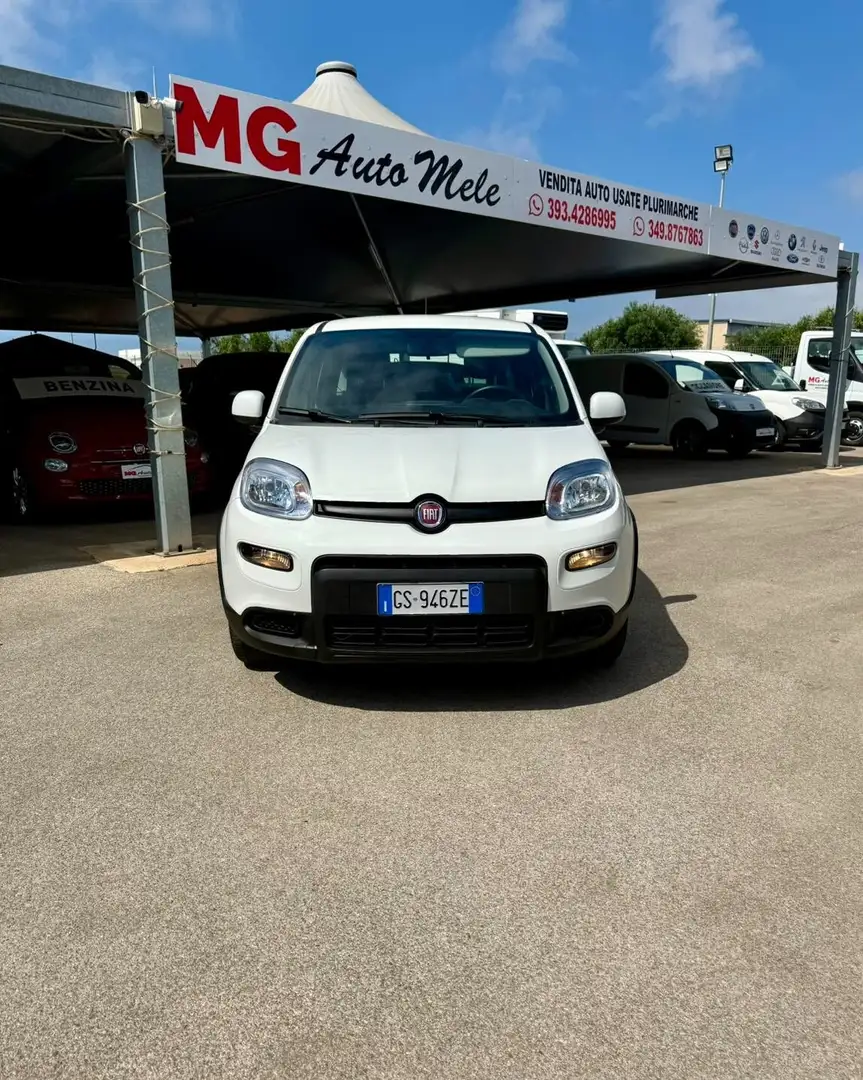 Fiat Panda Panda 1.0 FireFly S&S Hybrid Blanc - 1