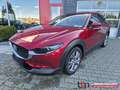 Mazda CX-30 Selection 2WD Leder Head-UP 360° MATRIX Rouge - thumbnail 1
