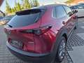 Mazda CX-30 Selection 2WD Leder Head-UP 360° MATRIX Rouge - thumbnail 5