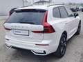 Volvo XC60 Plus, T6 AWD Plug-in Hybrid, Elektrisch/Benzin, Dark Weiß - thumbnail 19