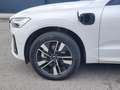 Volvo XC60 Plus, T6 AWD Plug-in Hybrid, Elektrisch/Benzin, Dark Weiß - thumbnail 15