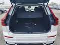 Volvo XC60 Plus, T6 AWD Plug-in Hybrid, Elektrisch/Benzin, Dark Weiß - thumbnail 14