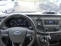 Ford Transit 310 L3 Trend,Klima,9 sitzer Blanco - thumbnail 9