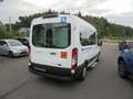 Ford Transit 310 L3 Trend,Klima,9 sitzer Blanco - thumbnail 5